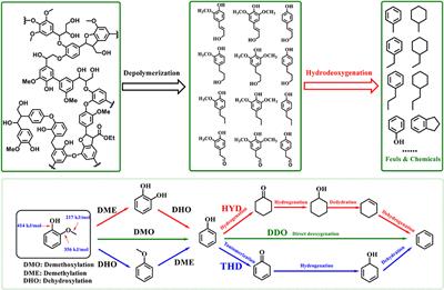 Catalytic Hydrodeoxygenation of Lignin-Derived Feedstock Into Arenes and Phenolics